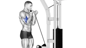 केबल कर्ल