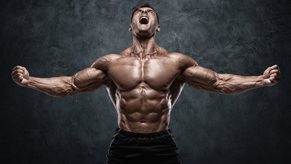 Muscle building for men
