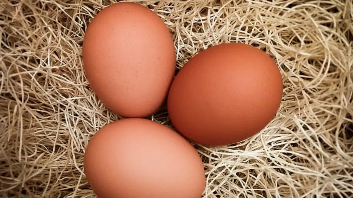 Desi anda khane ke fayde